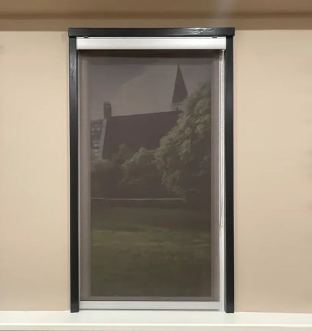 Rolgordijnen Transparant